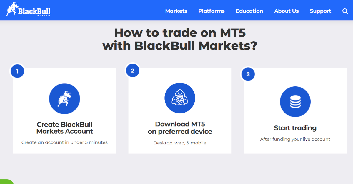 BlackBull Markets Website mit Info zu MT5