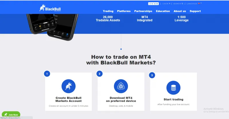 Metatrader 4 bei BlackBull Markets