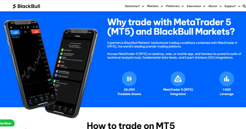 BlackBull Markets MetaTrader 5 Broker