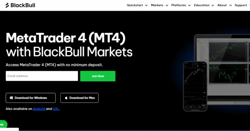 BlackBull Markets Website mit MetaTrader 4 Info